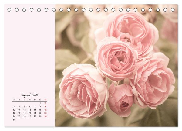 Produktbild: Rosen. Charmante und edle K&ouml;niginnen (Tischkalender 2026 DIN A5 quer), CALVENDO Monatskalender