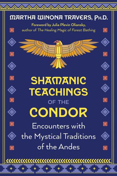 Produktbild: Shamanic Teachings of the Condor