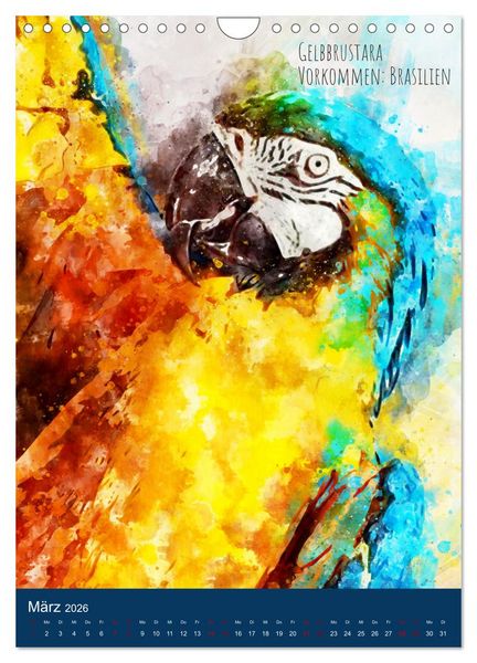 Produktbild: Exotische V&ouml;gel - Die Sch&ouml;nsten der Welt in Aquarell (Wandkalender 2026 DIN A4 hoch), CALVENDO Monatskalender