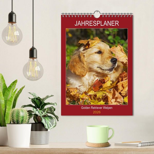 Produktbild: Jahresplaner Golden Retriever Welpen (Wandkalender 2026 DIN A4 hoch), CALVENDO Monatskalender