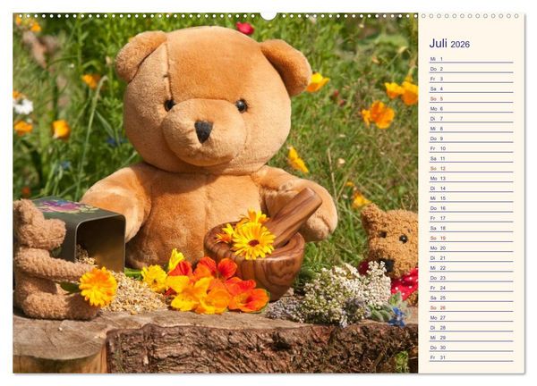 Produktbild: Geliebte B&auml;ren - Teddys (Wandkalender 2026 DIN A2 quer), CALVENDO Monatskalender