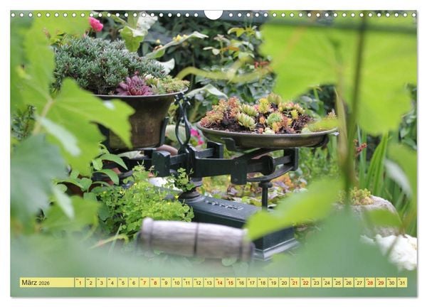 Produktbild: Gartenzauber (Wandkalender 2026 DIN A3 quer), CALVENDO Monatskalender