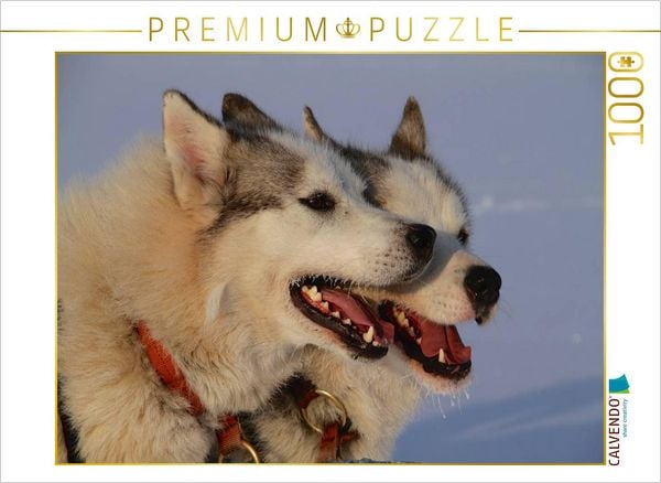 Produktbild: CALVENDO Puzzle Br&uuml;der | 1000 Teile Lege-Gr&ouml;&szlig;e 64x48cm Foto-Puzzle f&uuml;r gl&uuml;ckliche Stunden