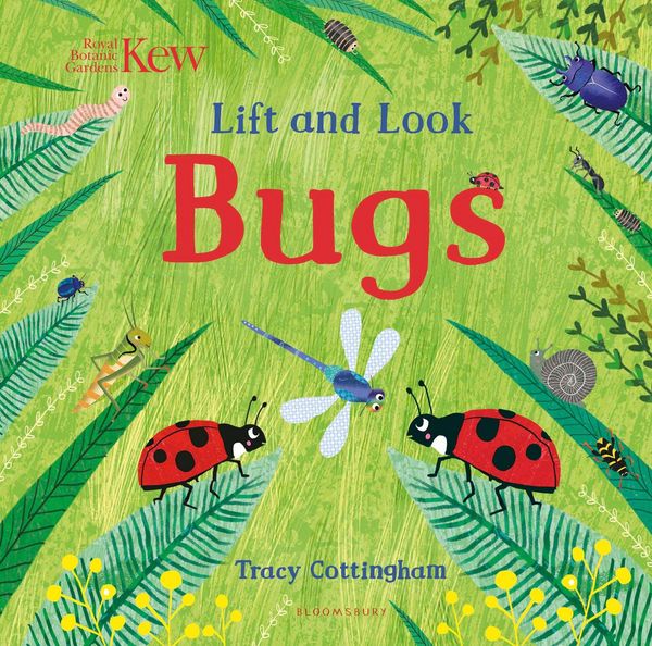 Produktbild: Kew: Lift and Look Bugs