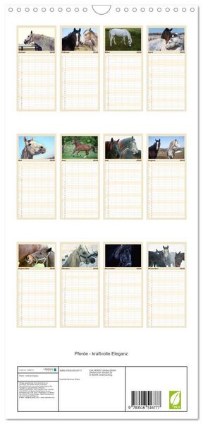 Produktbild: Familienplaner 2026 - Pferde - kraftvolle Eleganz mit 5 Spalten (Wandkalender, 21 x 45 cm) CALVENDO