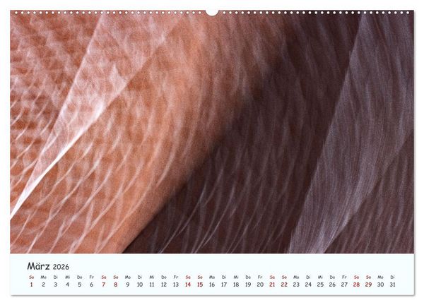 Produktbild: Farbgrafik - Die Sch&ouml;nheit der abstrakten Fotografie (Wandkalender 2026 DIN A2 quer), CALVENDO Monatskalender