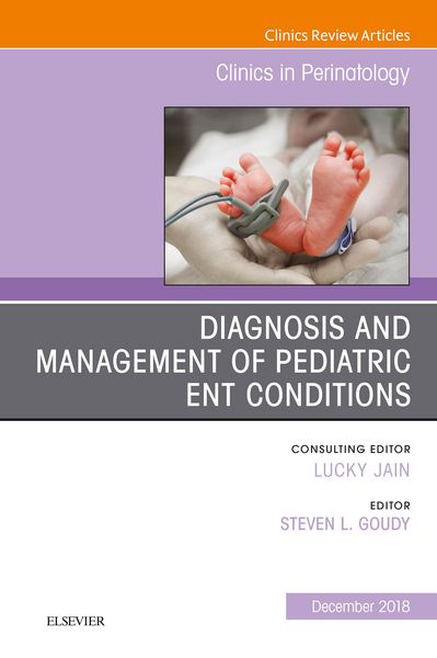 Produktbild: ENT Issues, An Issue of Clinics in Perinatology - E-Book