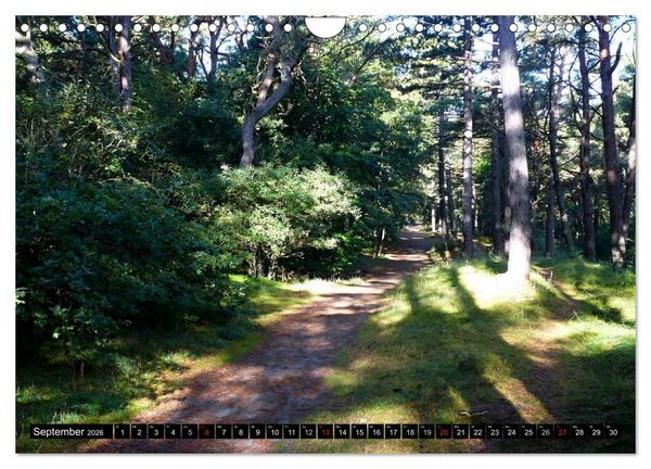 Produktbild: USEDOM - Seeb&auml;der und Naturparadies (Wandkalender 2026 DIN A4 quer), CALVENDO Monatskalender