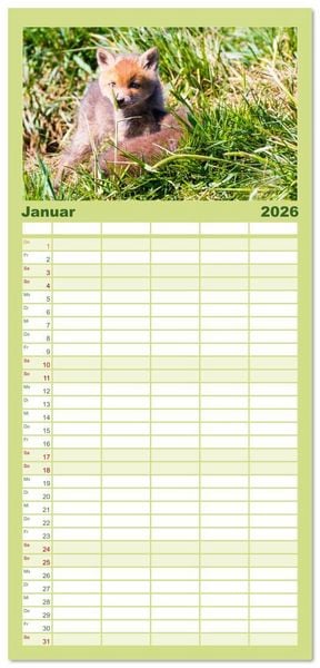 Produktbild: Familienplaner 2026 - Verspielte Fuchswelpen - Allein zu Haus' mit 5 Spalten (Wandkalender, 21 x 45 cm) CALVENDO