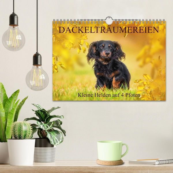 Produktbild: Dackeltr&auml;umereien - Kleine Helden auf 4 Pfoten (Wandkalender 2026 DIN A4 quer), CALVENDO Monatskalender