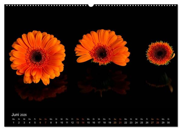 Produktbild: Ver&auml;ndertes (Wandkalender 2026 DIN A2 quer), CALVENDO Monatskalender