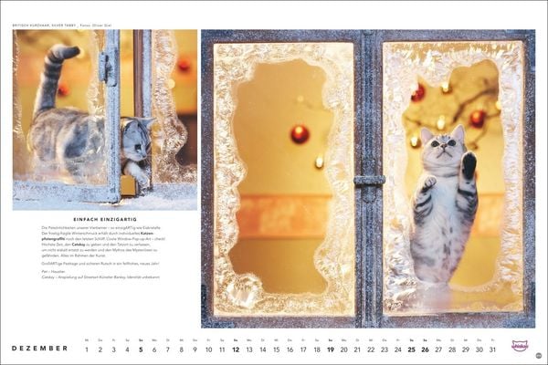 Produktbild: Whiskas Katzenkalender 2027