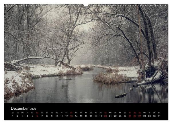 Produktbild: Mysterium Wald (Wandkalender 2026 DIN A2 quer), CALVENDO Monatskalender