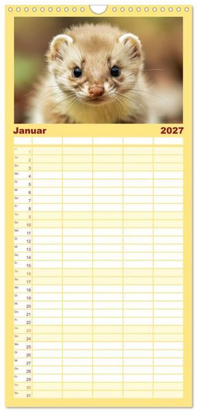 Produktbild: Familienplaner 2027 - Babys der Wildnis mit 5 Spalten (Wandkalender, 21 x 45 cm) CALVENDO