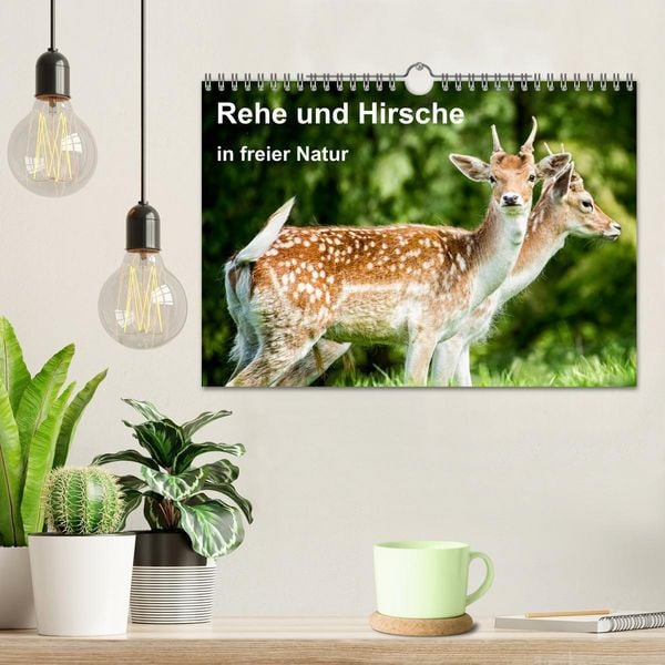 Produktbild: Rehe und Hirsche in freier Natur (Wandkalender 2026 DIN A4 quer), CALVENDO Monatskalender
