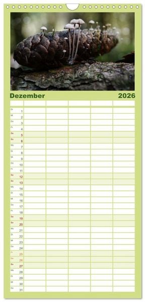 Produktbild: Familienplaner 2026 - Schwammerl Egerlinge Pilze mit 5 Spalten (Wandkalender, 21 x 45 cm) CALVENDO