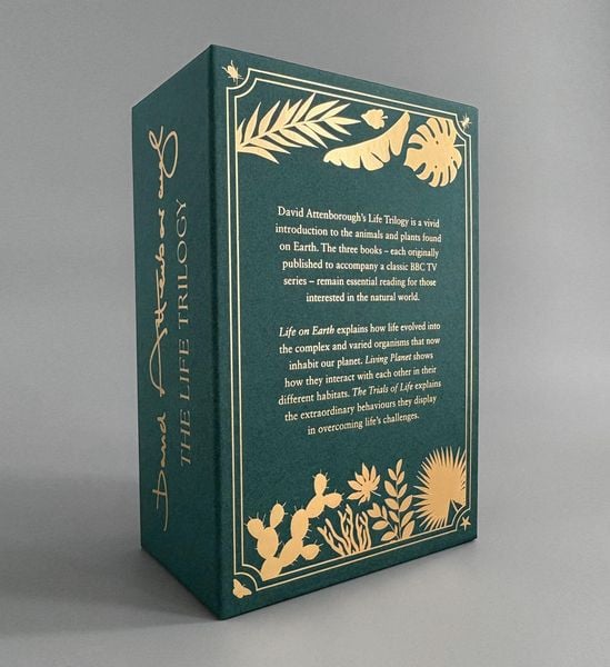 Produktbild: LIFE TRILOGY BOXSET HB+