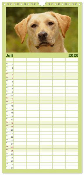 Produktbild: Familienplaner 2026 - Muh, M&auml;h, Miau & Co mit 5 Spalten (Wandkalender, 21 x 45 cm) CALVENDO