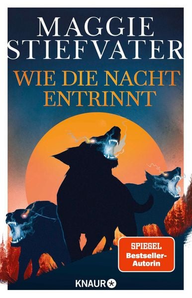 Produktbild: Wie die Nacht entrinnt