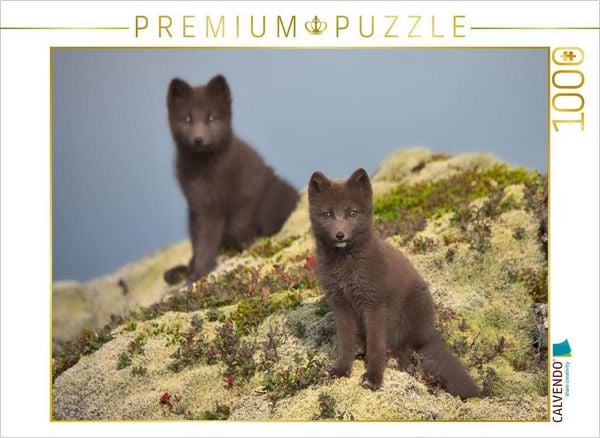 Produktbild: CALVENDO Puzzle Doppelg&auml;nger | 1000 Teile Lege-Gr&ouml;&szlig;e 64x48cm Foto-Puzzle f&uuml;r gl&uuml;ckliche Stunden