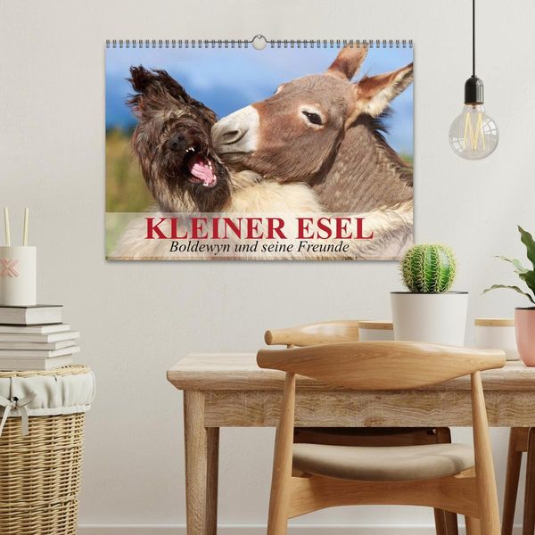 Produktbild: Kleiner Esel. Boldewyn und seine Freunde (Wandkalender 2026 DIN A3 quer), CALVENDO Monatskalender