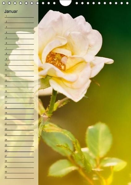 Produktbild: Immerw&auml;hrender Geburtstagskalender - Bl&uuml;tentr&auml;ume (Wandkalender immerw&auml;hrend DIN A4 hoch)