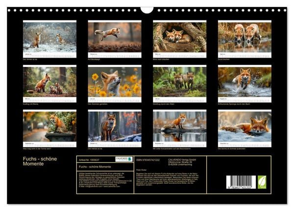 Produktbild: Fuchs - sch&ouml;ne Momente (Wandkalender 2026 DIN A3 quer), CALVENDO Monatskalender