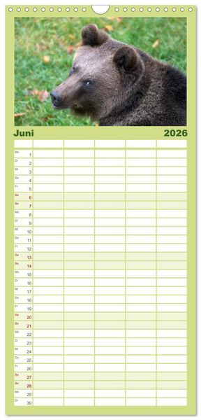 Produktbild: Familienplaner 2026 - Begegnungen DER BRAUNB&Auml;R mit 5 Spalten (Wandkalender, 21 x 45 cm) CALVENDO