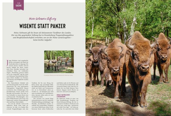 Produktbild: DUMONT Bildatlas Brandenburg