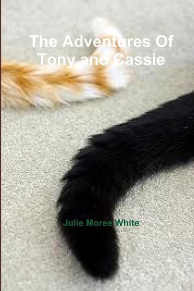 Produktbild: The Adventures Of Tony and Cassie