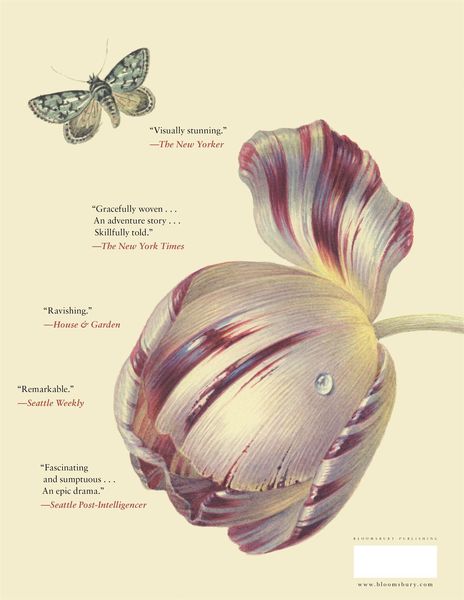 Produktbild: The Tulip
