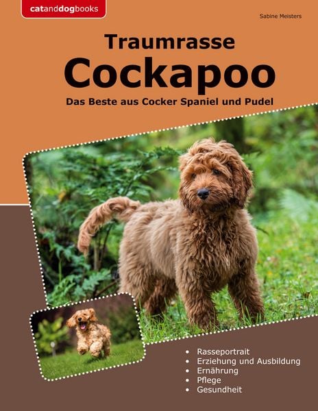 Produktbild: Traumrasse Cockapoo
