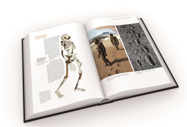 Produktbild: Homo Sapiens