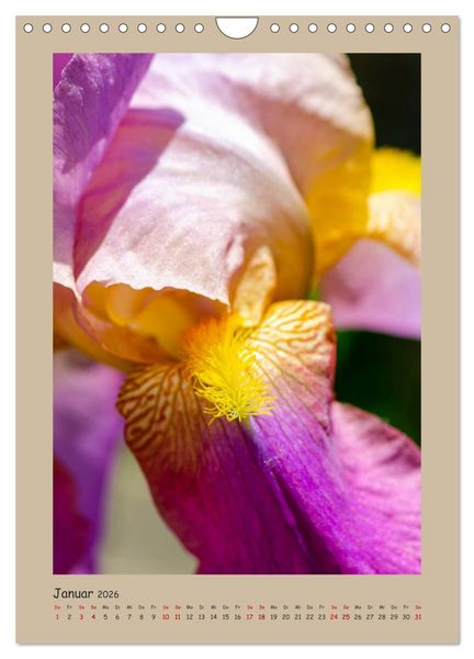 Produktbild: Zauberhafte Iris (Wandkalender 2026 DIN A4 hoch), CALVENDO Monatskalender