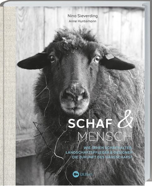 Produktbild: Schaf und Mensch