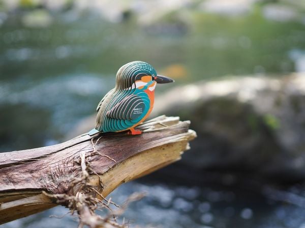 Produktbild: EUGY - 3D Bastelset Eisvogel
