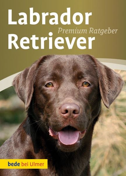 Produktbild: Labrador Retriever