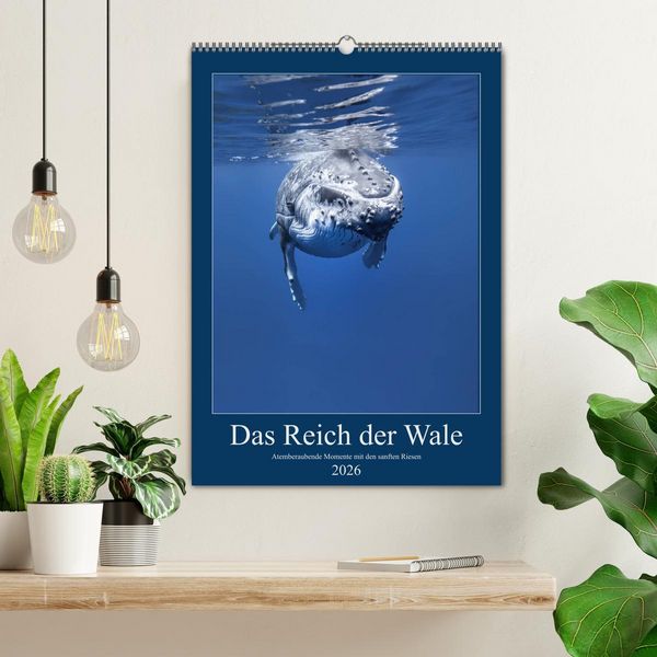 Produktbild: Im Reich der Wale (Wandkalender 2026 DIN A2 hoch), CALVENDO Monatskalender