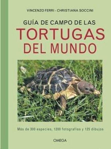 Produktbild: Guia de campo de las tortugas del mundo
