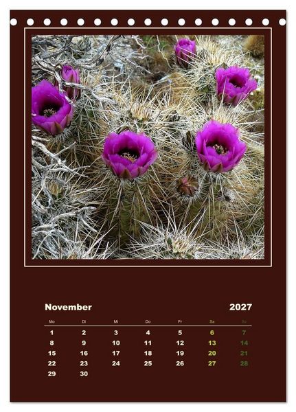 Produktbild: Wilde Kakteen Amerikas (Tischkalender 2027 DIN A5 hoch), CALVENDO Monatskalender
