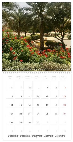 Produktbild: Kingdom of Saudi Arabia Riyadh and Jeddah (Wall Calendar 2026 12 &times; 12 Inch) CALVENDO 12 Month Wall Calendar