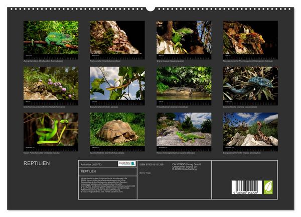 Produktbild: REPTILIEN (hochwertiger Premium Wandkalender 2026 DIN A2 quer), Kunstdruck in Hochglanz