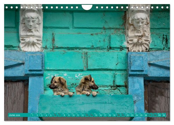 Produktbild: CUBA CARIBBEAN DREAM DESTINATION (Wall Calendar 2026 DIN A4 landscape), CALVENDO 12 Month Wall Calendar