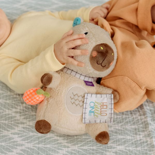 Produktbild: Kuscheltier Capybara Hello little One"