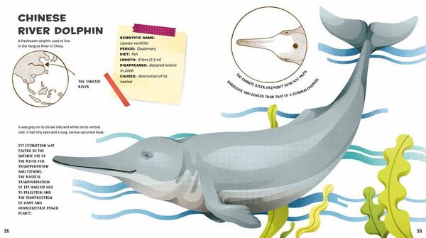 Produktbild: Weird and Wonderful Extinct Animals