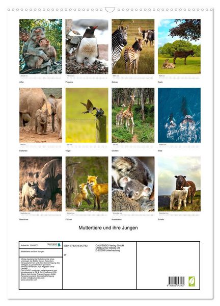 Produktbild: Muttertiere und ihre Jungen (Wandkalender 2026 DIN A2 hoch), CALVENDO Monatskalender