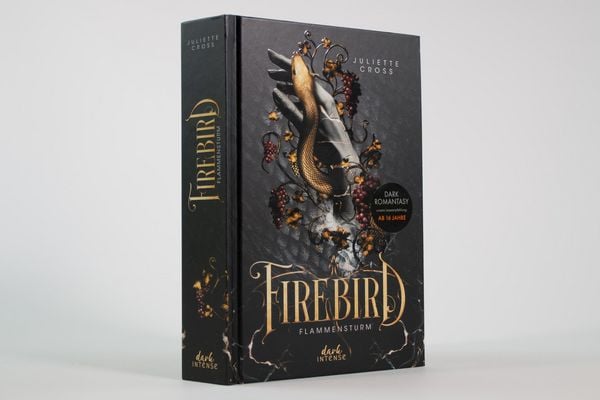 Produktbild: Flammensturm (Band 1) - Firebird