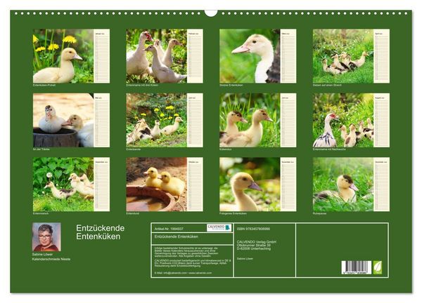 Produktbild: Entz&uuml;ckende Entenk&uuml;ken (Wandkalender 2026 DIN A2 quer), CALVENDO Monatskalender