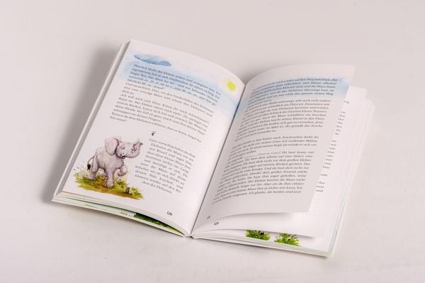 Produktbild: Zauberwald & Zwergenkraft