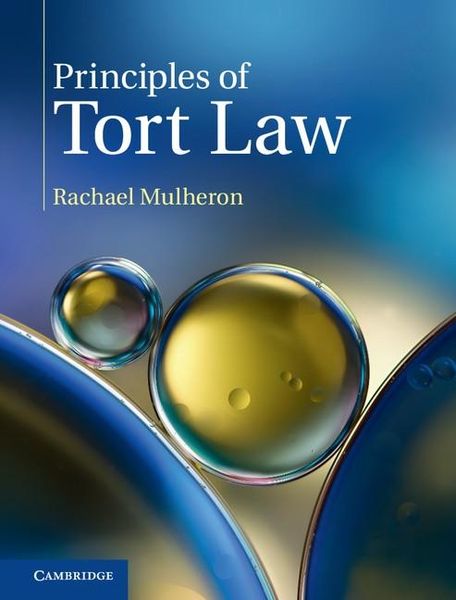 Produktbild: Principles of Tort Law